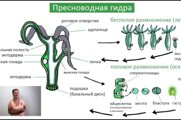 Активная ссылка кракен