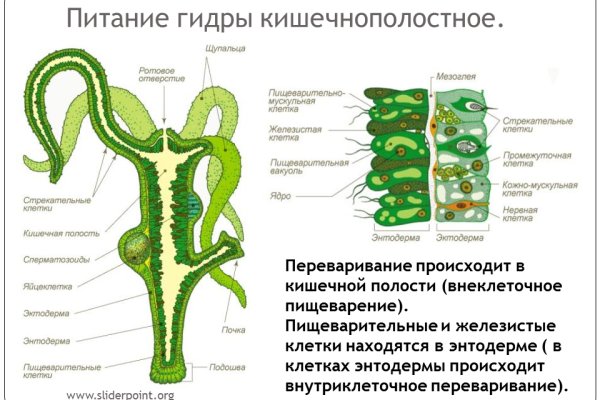 Настоящая ссылка на кракен