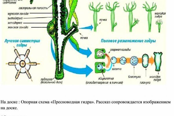 Kraken ссылка krakens13 at