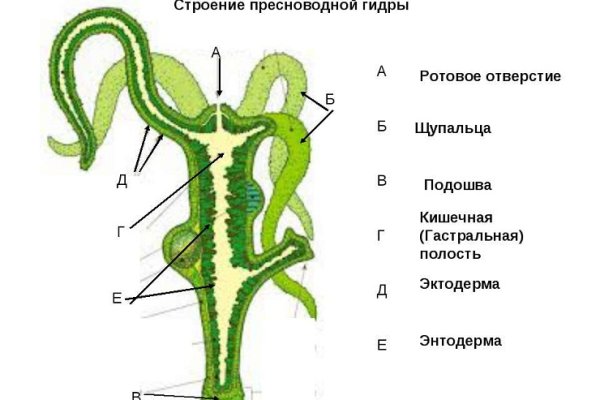 Кракен нрк