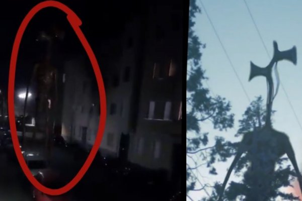 Зеркало кракен